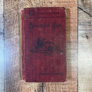 Vintage Beautiful Joe Dog Book Marshall Saunders 1903 Phoenix Edition